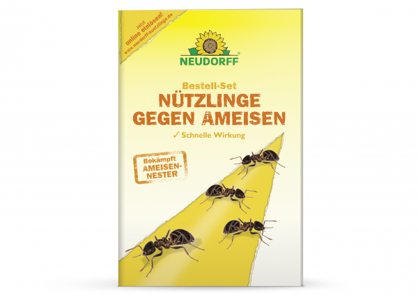 Neudorff Bestell-Set Nützlinge gegen Ameisen